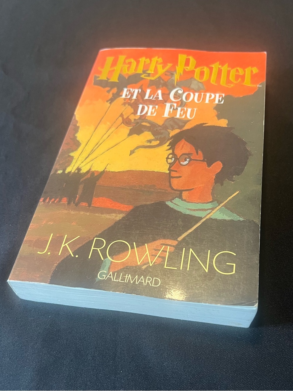 Harry Potter et la Coupe de Feu (Goblet of Fire) French Ed. Paperback